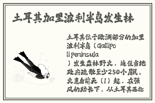 马人配驴杂交种好吗图片